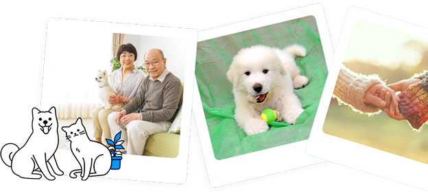 大切な想い出を、ずっとそばに